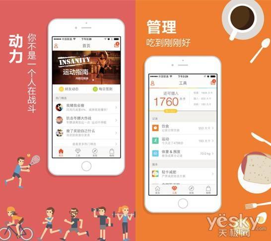 原生APP開發與web APP的區別深度分析